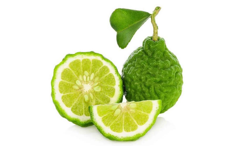 Bergamota