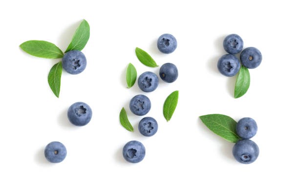 Vaccinium  (arándano)