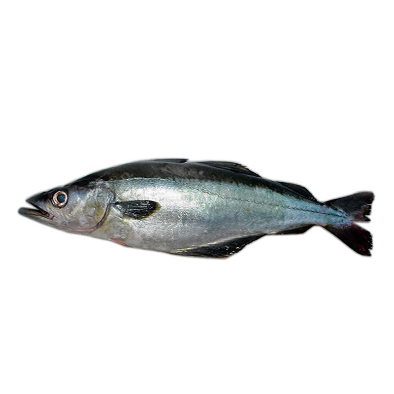 Abadejo