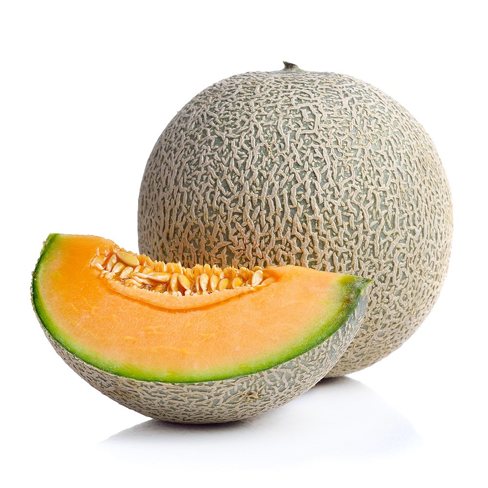 Cantalupo