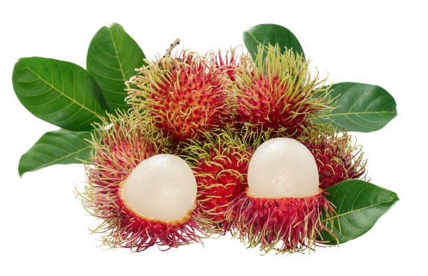 Rambután