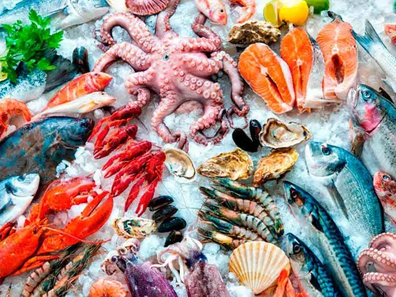 Dorada Fresca de Crianza 500g