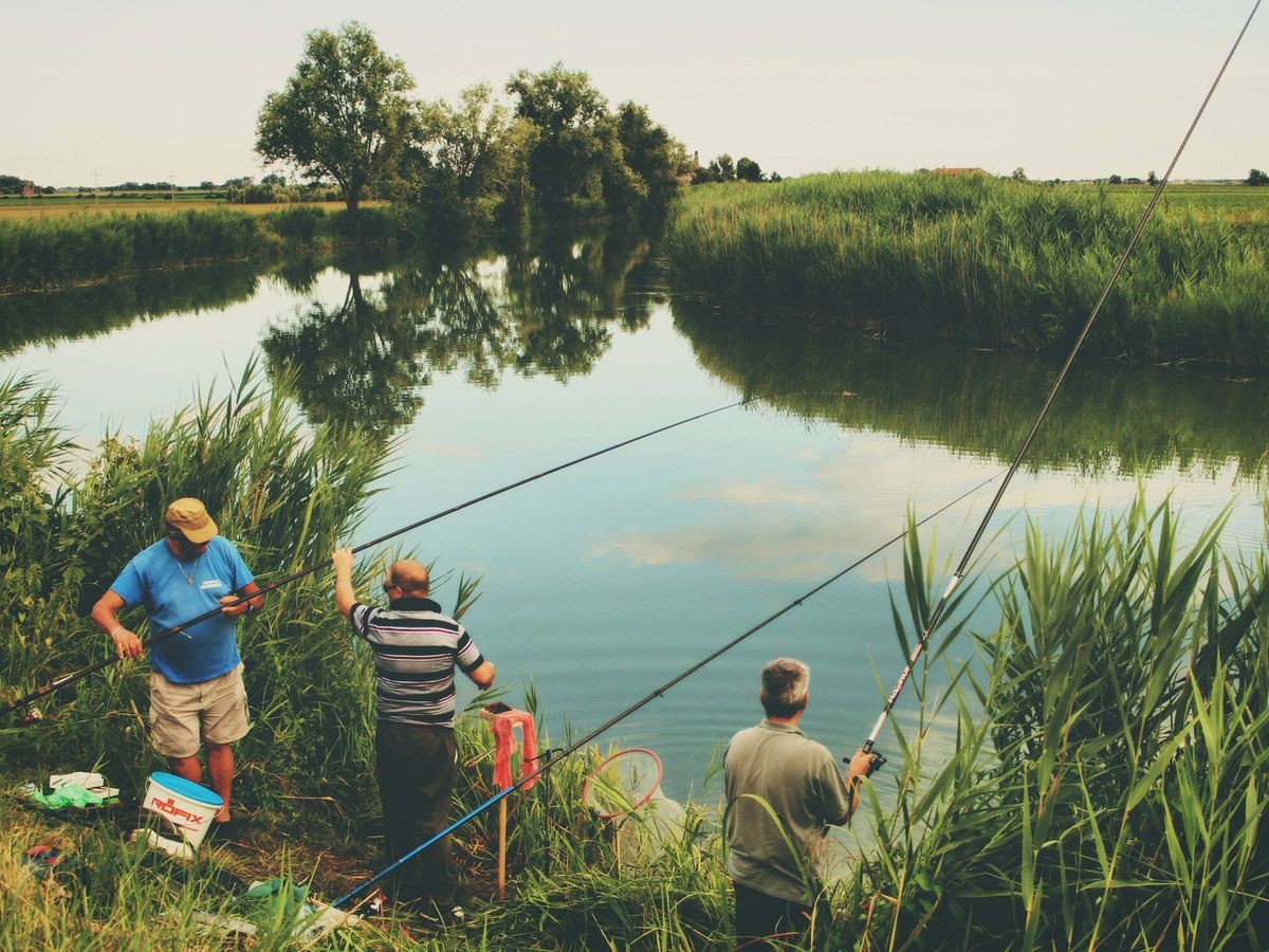Compra y Venta de Maquinaria