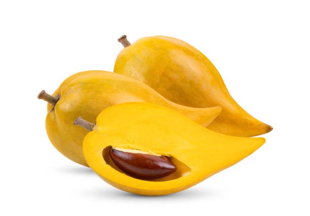 Sapote