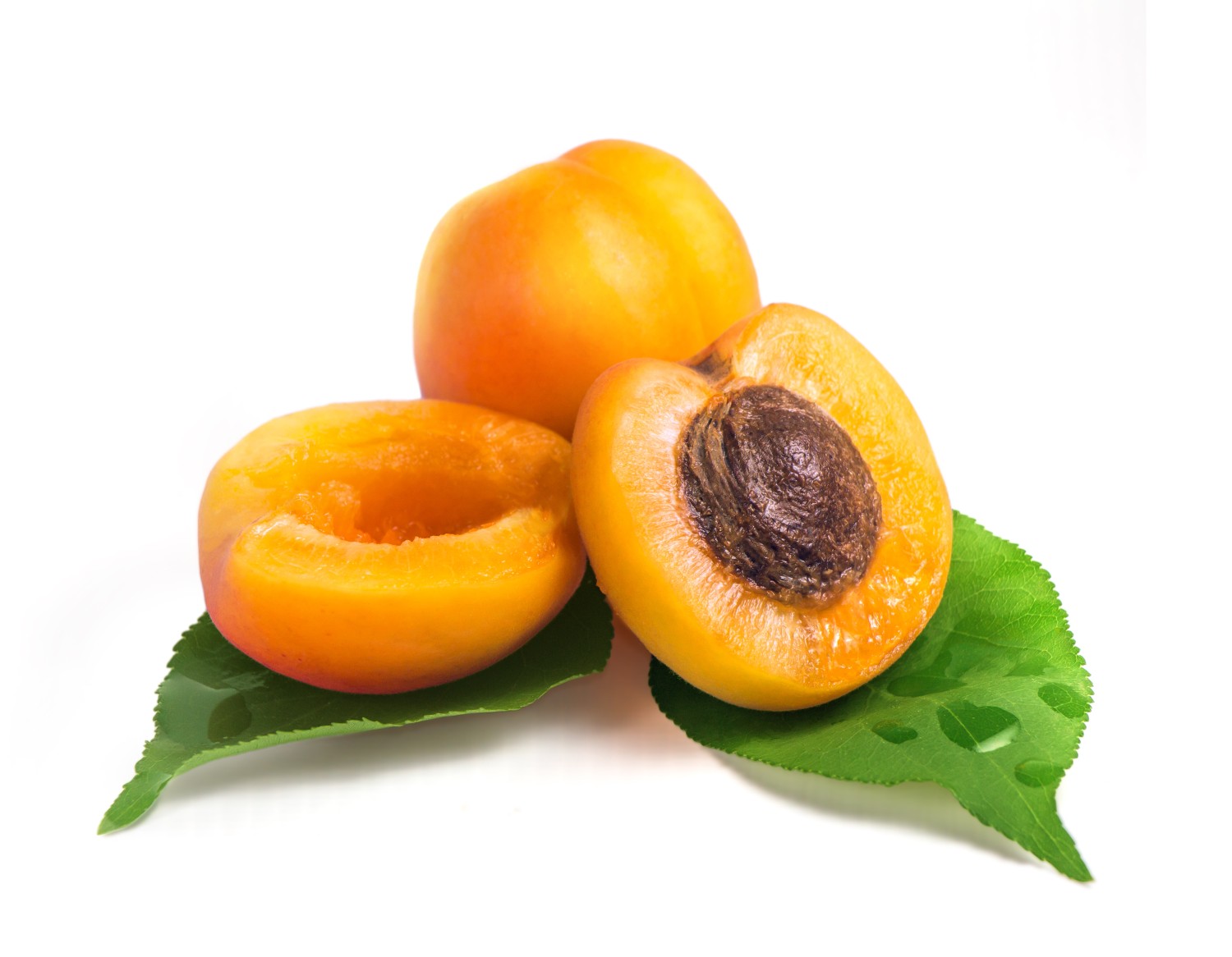 Albaricoque
