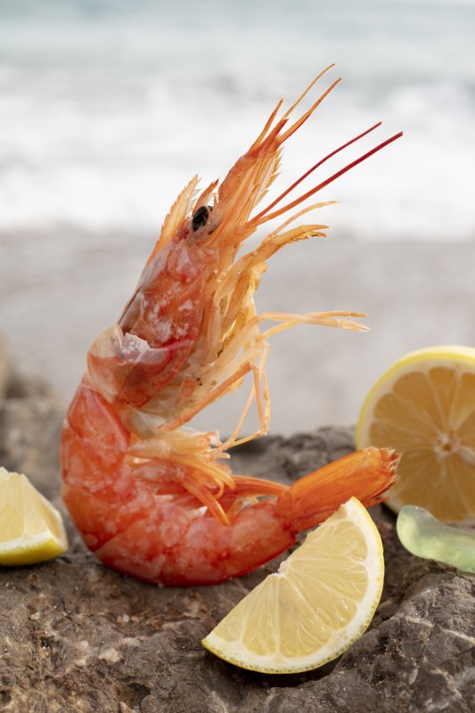 Langostinos