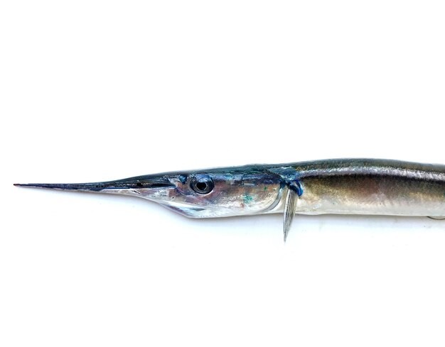 Aguja