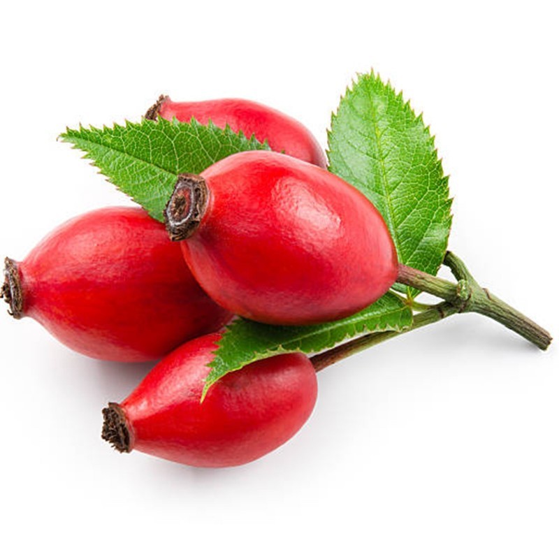 Escaramujo