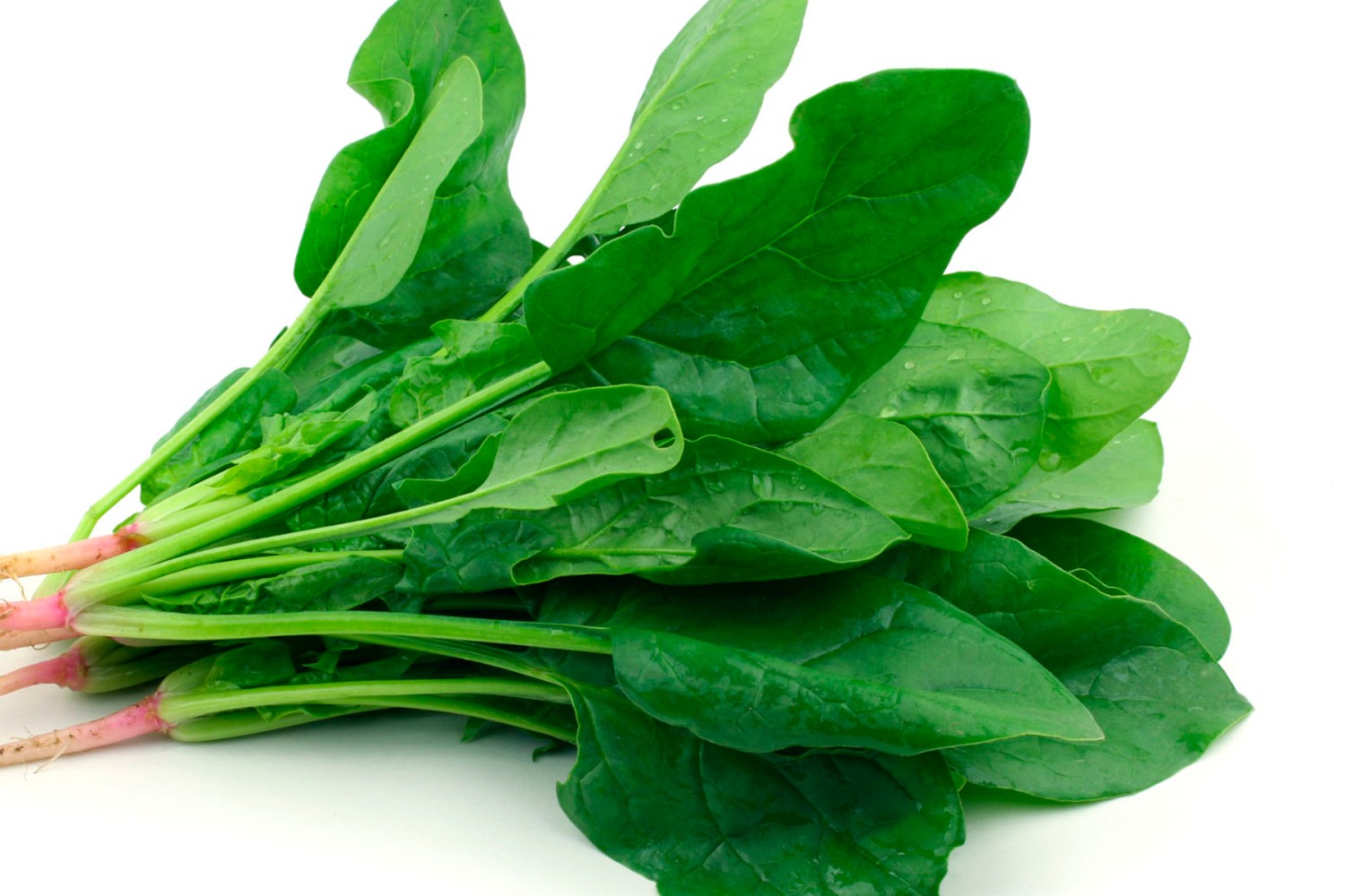 Espinaca