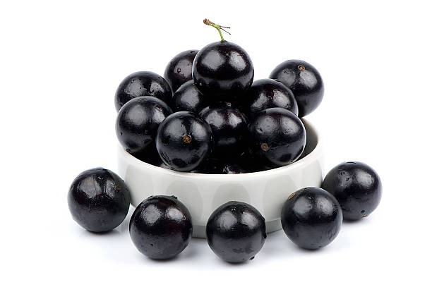 Jabuticaba