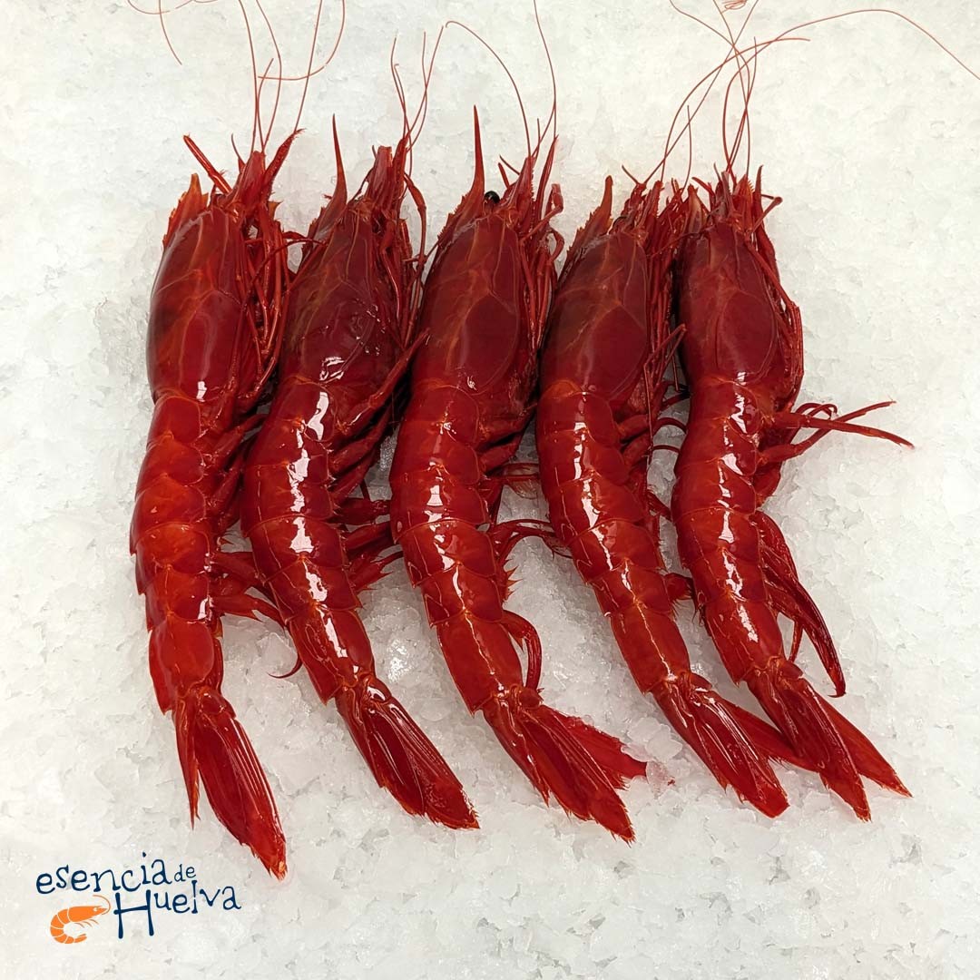 Carabineros
