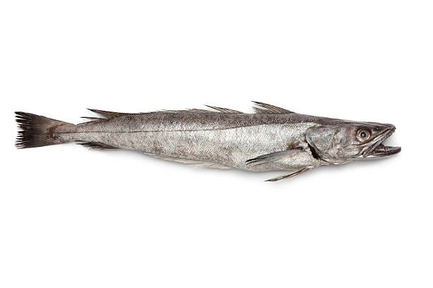 Merluza