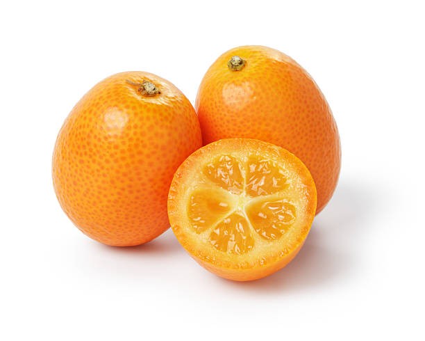 Quinoto