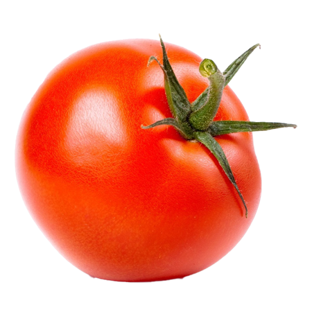 Tomate