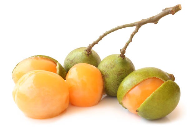 Quenepa (mamoncillo)