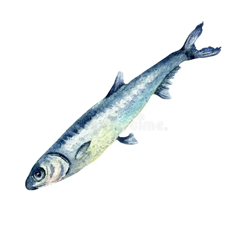 Anchoa